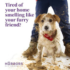 Harbor's Pet Cologne (Lavender)