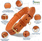 Genuine Leather Dog Collar | Full Grain, Heavy Duty, Comfortable, Padded, Strong | Best for Pups, Small, Medium, Large & XL Breeds (Large (Fit Neck Size 18.5"-22.5"), Tangerine Orange)