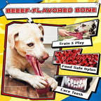Zeaxuie 12 Pack Heavy Duty Various Dog Chew Toys Pack for Aggressive Chewers - Includes Large Rope Toy, Squeaky Toys & Indestructible Chew Bone for Medium, Large & X-Large Breeds Dogs