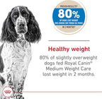 Royal Canin Canine Care Nutrition Medium Weight Care Adult Dry Dog Food, 30 lb Bag