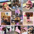 Jecikelon Winter Dog Hoodie Sweatshirts with Pockets Warm Dog Clothes for Small Dogs Chihuahua Coat Clothing Puppy Cat Custume (Purple, X-Large)