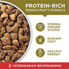 Purina ONE Dry Dog Food Lamb and Rice Formula - 8 lb. Bag
