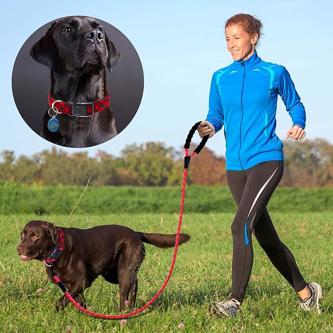 Reflective Dog Collar Padded with Soft Neoprene Breathable Adjustable Nylon Dog Collars for Small Medium Large Dogs (Small (Pack of 1), Red Plaid Collar+Leash)