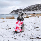GMF Winter Dog Jacket Reversible Vest - Waterproof, Windproof, Thick Soft Coat with Leash Hole for Small to Large Dogs