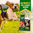 Beloved Pets Chicken Jerky Dog Treats 10.6 OZ - All Natural and Healthy Snacks for Large & Small Dogs - Grain Free and High Protein Meat - Human Grade Pet Chews