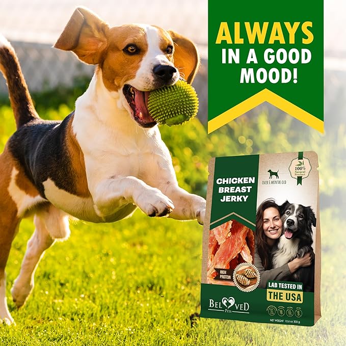 Beloved Pets Chicken Jerky Dog Treats 10.6 OZ - All Natural and Healthy Snacks for Large & Small Dogs - Grain Free and High Protein Meat - Human Grade Pet Chews