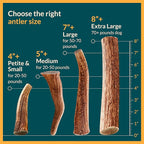 100% Natural - Elk Antlers for Dogs ( Split ) - Naturally Shed in USA - Dog Antler Chews Medium Breeds - Natural, Long-Lasting Treats for Aggressive Chewers - Dog Chews - No Smell & No Mess - Medium