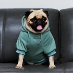 Tuff Pupper Dog Hoodie | Premium Quality 100% Organic Cotton | Ultra Soft Interior for Superior Comfort | Elastic Cuffs & Drawstring for Warmth | Stretch Fit Suitable for All Breeds (Teal, M)