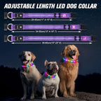 LED Dog Collar, Light Up Dog Collar, USB Rechargeable - Brightest Dog Lights for Night Walking, 6 Light Modes, Adjustable for Dog Safety(Large, Purple)