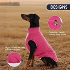 IECOii 2 Pack Dog Sweaters Vest Fleece, Warm Fall Winter Coat for Small Dogs with Leash Hole, Soft Stretchy Pet Pullover Clothes for Indoor Outdoor Walking (Size M, Rose Red & Dusty Pink)