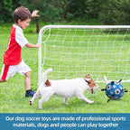 QDAN Dog Balls Toys, Soccer Ball with Straps, Balls for Dogs for Small Medium Puppy, Herding Ball Toy, Birthday Gifts (6 Inch)