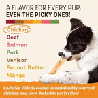 Earth Animal No Hide Strips - Natural Rawhide Free Dog Chew Strips, Chicken - 4 Count