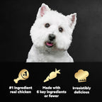 Cesar Simply Crafted Adult Wet Dog Food Meal Topper, Chicken, Duck, Purple Potatoes, Pumpkin, Green Beans & Brown Rice and Chicken, Carrots, Barley & Spinach Multipack, 1.3oz (8 Count, Pack of 1)