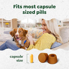Greenies Pill Pockets for Dogs Large Size, Soft Dog Treats, Chicken Flavor, (6) 7.9 oz. Pouches (180 Treats Total)