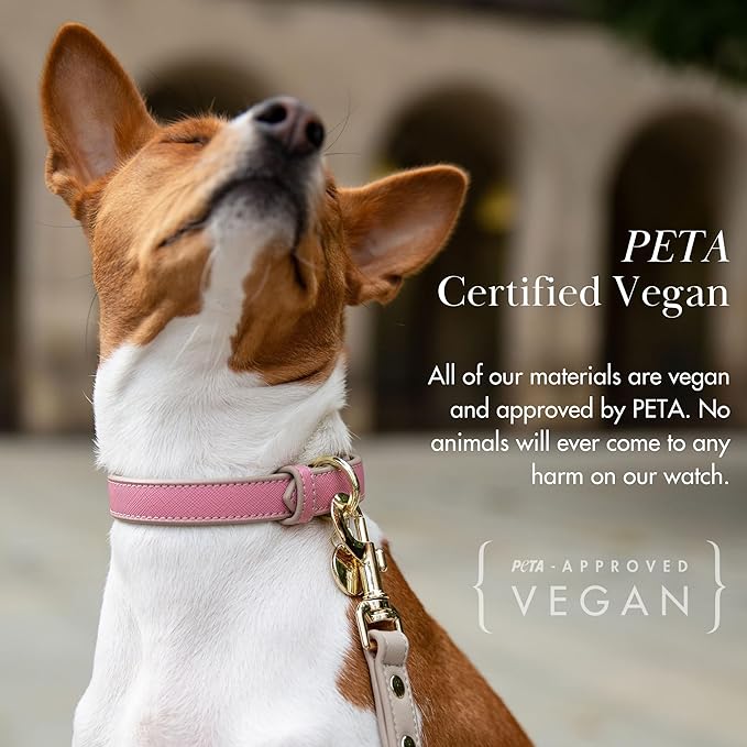 Nina Woof Rio Pink Vegan Leather Dog Collar - Padded Luxury Adjustable Buckle Collar - Sustainable, Cruelty-Free, for Small to Large Dogs
