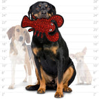 TUFFY - World's Tuffest Soft Dog Toy - Ocean Larry Lobster -Squeakers - Multiple Layers. Made Durable, Strong & Tough. Interactive Play (Tug, Toss & Fetch). Machine Washable & Floats. (Combo Pack)