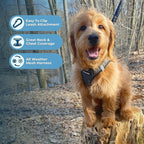 Best Pet Supplies Voyager Step-in Air Harness - All Weather Mesh, Reflective, No Pull Harness for Dogs, Cats - Secure with Hook & Loop Fastener, Buckle, Double D-Rings - Tone, M