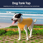 IECOii 2 Pack Dog T-Shirts for Small Medium Dogs,Lightweight & Comfortable – Easy to Wear,Machine Washable & Non - Fading – Perfect for Summer Indoor and Outdoor Use,Orange+Stripes,Large