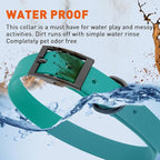 Dogline Biothane Waterproof Dog Collar Strong Coated Nylon Webbing with Black Hardware Odor- Proof for Easy Care Easy to Clean High Performance Fits Small Medium or Large Dogs, Blue Aqua