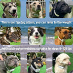 Shock Collar for Dogs [CRS01] 126 Training Levels, 4 Powerful Modes with 2.8-inch LCD high-Definition display100% Safe Training Collar for Large Medium Small Dogs IPX7 Waterproof E Collar