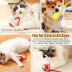 Interactive Cat Toys Ball for Indoor Cats, 2025 Newly Upgraded Automatic Rolling Balls, Moving Cat Ball with Elastic Mesh Tail, Kitten Toys for for Bored Indoor Adult Cats/Dog (Grey)