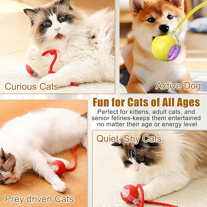 360 Smart Automatic Rolling Pet Ball,Interactive Cat Toys Balls,Automatic Moving Cat Balls,Interactive Cat Toys for Bored Indoor Cats (Red)
