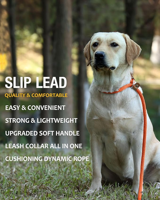 lynxking 8 FT Dog Leash Slip Lead 2 Pack Strong Heavy Duty Braided Dog Training Leash No Pull Training Lead Leashes for Medium Large and Small Dogs