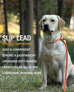 lynxking 8 FT Dog Leash Slip Lead 2 Pack Strong Heavy Duty Braided Dog Training Leash No Pull Training Lead Leashes for Medium Large and Small Dogs