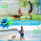 QDAN Dog Toy Balls, Premium Dog Soccer Ball with Straps, Outdoor Dog Toys, Pet Training Soccer for Medium Large (6 Inch)
