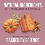 Natural Balance Specialized Nutrition Dry Dog Food with Salmon and Oatmeal for Dogs, Sensitive Skin & Stomach Dog Food, Natural Ingredients with Added Vitamins & Minerals - 22 lbs