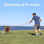 Pawtitas Personalized Dog Leash - Embroidered Customize Your Pet's Name & Phone Number - Reflective 6 ft Long Orange Leash
