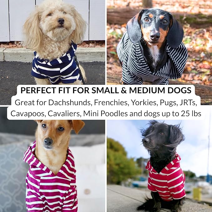 DJANGO Dog Hoodie – Warm, Lightweight, Soft & Stretchy Dog Sweater with Hood, Harness Hole & Elastic Waistband – Cozy Sweatshirt for Small Dogs up to 25 lbs, Dachshunds & Puppies – Boysenberry, XS