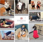 KYEESE Dog Christmas Sweater with Leash Hole Warm Pullover with Reflective Yarn for Small and Medium Dogs Male Soft Knit Pullover Boy Dog Coats Cozy Lightweight Thick Sweater,Red,Large