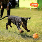 LaRoo Squeaky Dog Ball Toy, Durable Natural Rubber Squeaker Ball Floating Throwing Training, Teeth Cleaning Chew Toy for Pet Small Medium Large Dogs (3.5In Orange)
