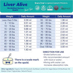 Liver Alive Metabolism System Health for Dogs and Cats - Function, Fatty, Detox, Chronic Hepatitis with SILIPHOS®, TUDCA, Same Vegan Bacon Flavor (60ml)
