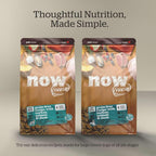Now Fresh Grain-Free Large Breed Dry Puppy Food with Turkey, Salmon & Duck, Healthy Kibble for Growing Dogs with Real Meat & Fish, Chicken-Free, Pumpkin & Probiotics for Good Digestion, 25 lb Bag