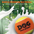 AMA SPORT Squeaky Tennis Balls for Dogs 2.0" Small Dog Tennis Balls for Throwing and Fetching Dog Toys for Training, Exercise, High Bouncing 4 Pack (Orange Yellow)