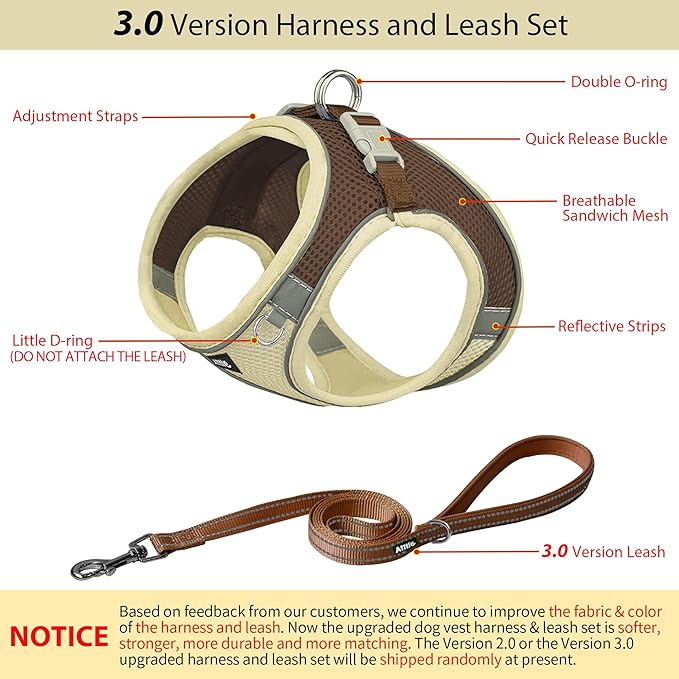 AIITLE Comfortable Dog Harness and Leash Set for Walking - Summer Step in Vest Harness,Reflective Bands, Adjustable No Pull Puppy Essentials, for Small Dogs and House Cats Beige XS