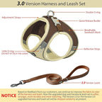 AIITLE Comfortable Dog Harness and Leash Set for Walking - Summer Step in Vest Harness,Reflective Bands, Adjustable No Pull Puppy Essentials, for Small Dogs and House Cats Beige XS