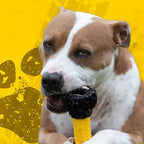 Tonka Axle Tread Dog Toy with Interactive Feeder, Lightweight, Durable and Water Resistant, 7 Inches, for Medium/Large Breeds, Single Unit, Yellow/Black
