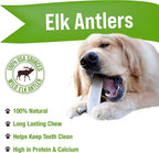 Buck Bone Organics Dog Chews, Elk Antlers for Dogs, Long Lasting Dog Bones for Aggressive Chewers, All Natural, No Preservatives, Wild Shed in The USA (1 Pound Bag)