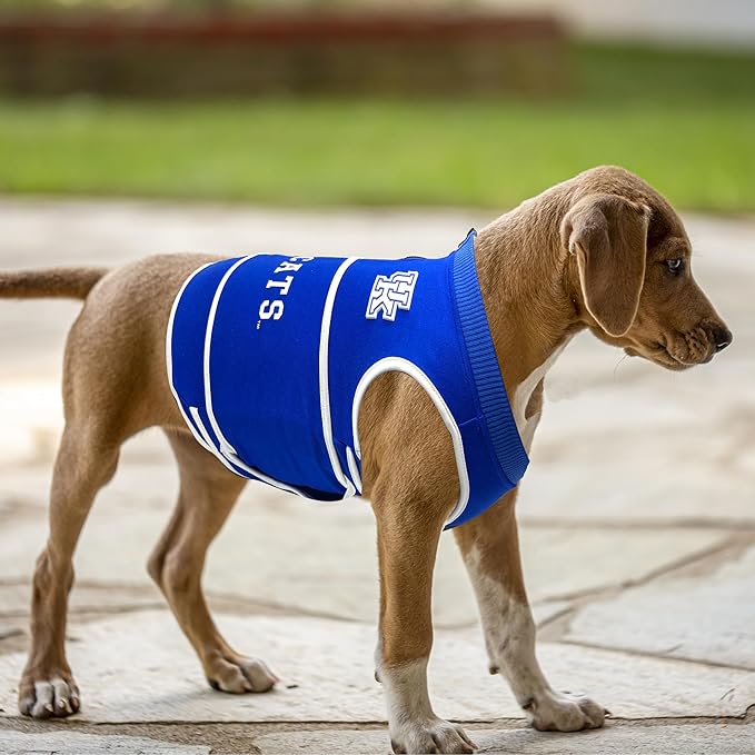 NCAA Kentucky Wildcats Dog Anxiety Shirt Calming Soothing Vest for Dogs Cats with Anxiety, Fears, Fireworks, Loud Noises, Dark, Lonely Keeps Dogs Calm & Feeling Safe, Relaxing Jacket, Medium