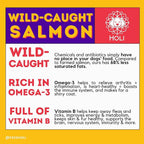 HOLI Freeze Dried Salmon Dog Food Topper - with Omega 3 & 6 - Single Ingredient, Human-Grade Wild Caught Salmon - Dog Food Flavor Enhancer for Picky Dogs – 100% All Natural - 1.5oz