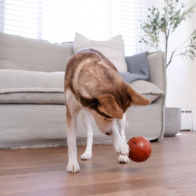 Outward Hound by Planet Dog Basketball, Durable Treat-Dispensing Dog Ball, Interactive Fetch Toy, Orbee-Tuff, Mint Scented, BPA-Free, for Indoor & Outdoor Play, Brown