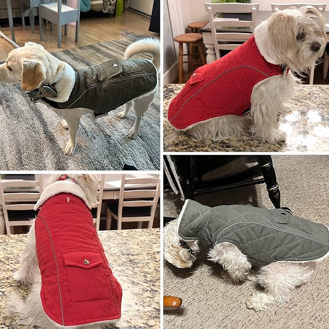 Malier Dog Winter Coat, Windproof Dog Cold Weather Coats with Real Pocket, Winter Extra Warm Pet Coat Fleece Jacket Reflective Clothes for Small Medium Large Dogs and Puppy (Red, Medium)