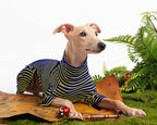 Dog Sweaters for Small Dogs Girls Boys, Striped Pet Sweaters for Fall Winter Dog Clothes, Turtleneck Pullover Knitwear for Small Medium Large Dogs