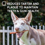 Downtown Pet Supply Bully Sticks for Dogs - Natural 6 Inch Beef Chews, Odor-Free & Rawhide-Free, Long Lasting Dog Treats for Aggressive Chewers - Healthy, Safe & Delicious Chews Dogs Love (18 Pack)