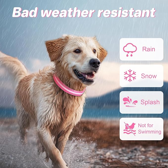 PcEoTllar Light Up Dog Collars, Led Dog Collar, Rechargeable, Night Walking, Waterproof, Glow in The Dark Dog Collars Light for Large Small Medium Dogs, Pink m