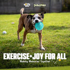 Gnawsome™ 4.5” Spiky Squeaker Ball Dog Toy - Extra Large, Cleans Teeth and Promotes Good Dental and Gum Health for Your Pet, Colors will vary, 4.5"
