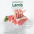 Nature's Protection Grain Free Low Calorie Dog Treats - Training Treats for Small, Medium & Large Breed Adult Dogs with Light Fur (Superior Care - Lamb, 5.29 oz)